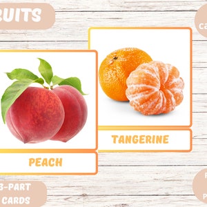 Educational Fruits Flashcards for Kids| 36 Fruits Three-Part Cards | Montessori Materials| Printable Preschool & Homeschooling Resources