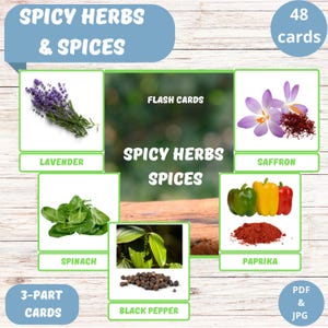 Ervas Picantes Temperos | Flashcards Educacionais para Crianças | 48 Flashcards de Ervas | Materiais Montessori | Recurso para Pré-escola e Educação Domiciliar para Imprimir