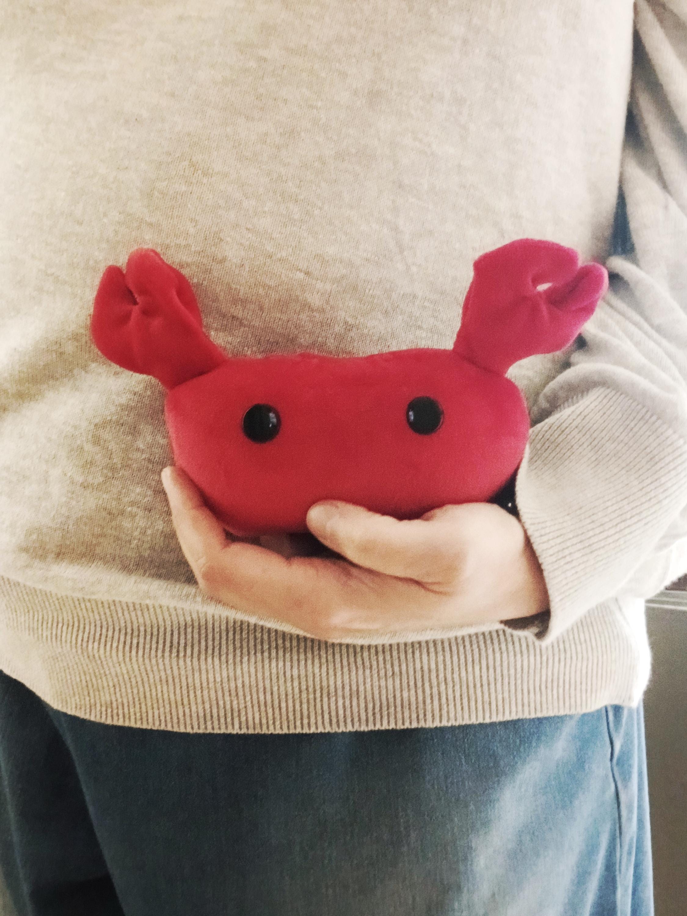 Squishy children toy España