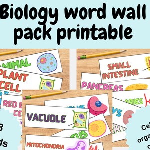 生物学のワードウォール フラッシュ カード パック | 解剖学 | 細胞生物学 | 実験ノート | 教室のディスプレイ | 科学の復習 | 臓器 | 細胞