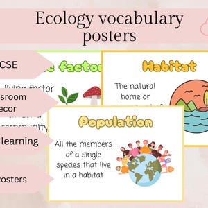 GCSE | écologie | biologie | scientifique | vocabulaire | de mots | cartes mémoire | présentoir en classe | organismes | école à la maison