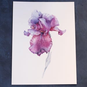 pittura ad acquerello originale di iris viola, decorazione murale realistica di fiori viola, acquerello floreale botanico, disegnato a mano, estetica misteriosa
