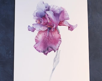 Acquerello botanico originale dipinto di iris viola: arte murale floreale