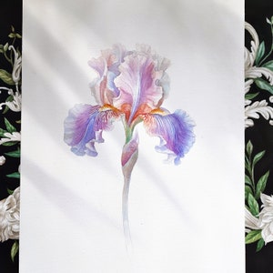 Original Iris Watercolor Painting: Purple Floral Botanical Wall Art