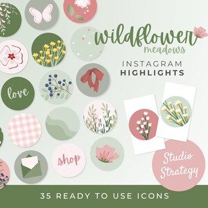 Op de afbeelding: Een set van 35 Instagram-highlight-pictogrammen met een bloemenmotief. De pictogrammen zijn in verschillende kleuren, waaronder roze, groen en wit. De pictogrammen bevatten bloemen, bladeren, vlinders en andere natuur-ge&iuml;nspireerde ontwerpen. De tekst "wildflower meadows" en "Instagram highlights" is opgenomen in de afbeelding.
