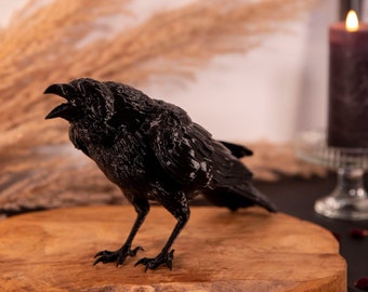 Black Raven - Gotische decoratie