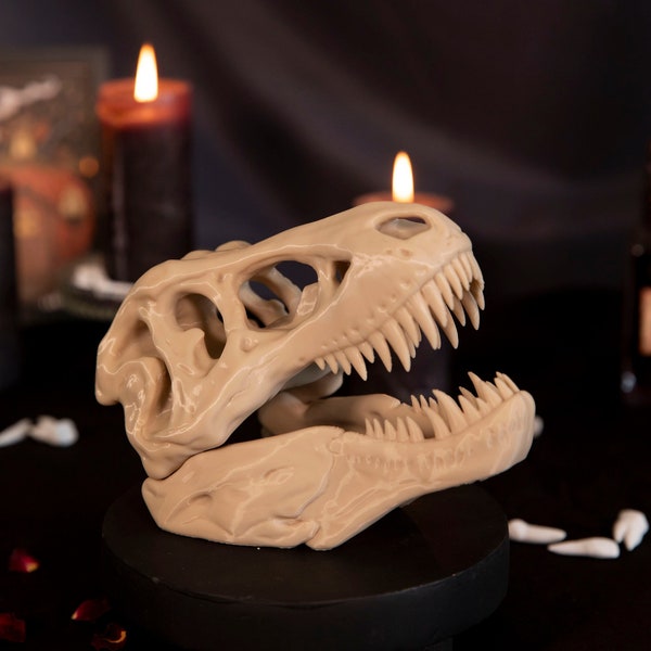 Crâne de T-Rex Décoratif - Dinosaure - Archéologie