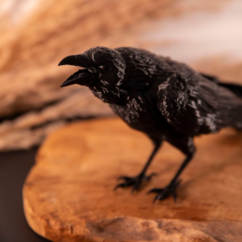 corbeau noir décoration gothique