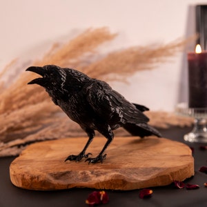 corbeau noir décoration gothique
