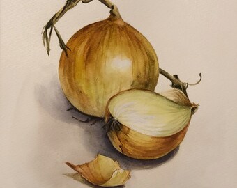 Aquarelle d'oignons