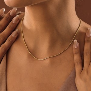 May include: A close-up of a woman's neck wearing a delicate gold chain necklace.