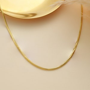 May include: A gold snake chain necklace on a light beige background.