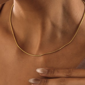 May include: A gold chain necklace on a person's neck. The chain is thin and has a snake chain design.
