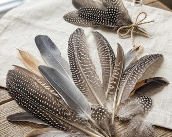 Naturfedernmischung, 50 Stück | Bastelfedern | Perlhuhn- und Hühnerfedern | DIY-Bastelbedarf