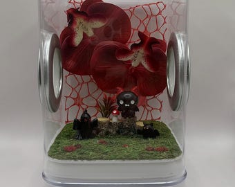 Jumping Spider Enclosure (Basic), Black and Red Demon, Red Orchids, Spooky Theme