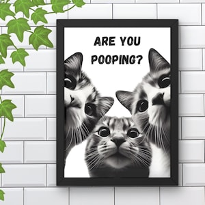 Katzen Poster Illustration Lustige Katzen Illustration #BW57