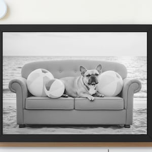 Arte mural de bulldog francés, perro bulldog francés en la playa, descarga instantánea, decoración de casa de playa, impresión costera, regalo, estampados divertidos de animales #WA59