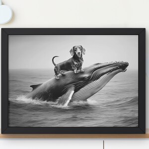 Könnte beinhalten: Ein Schwarzweißfoto eines Dackels, der auf dem Rücken eines Wals reitet und aus dem Wasser springt.