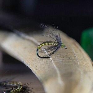 Puede incluir: Primer plano de un señuelo de pesca con mosca verde y negro con una pluma marrón. El señuelo está sobre una superficie de madera.