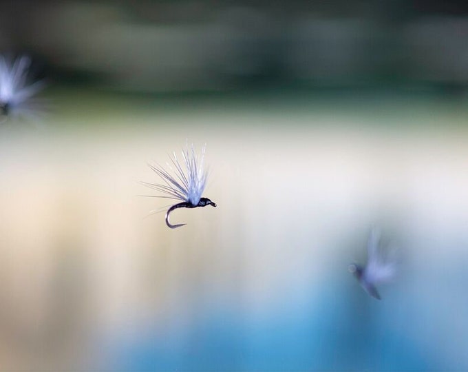 6 Count Pack of Queen City Flys "No-See-Um" dry fly midge