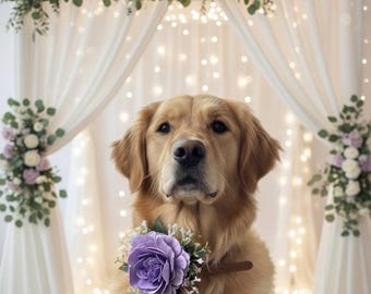 Dog Collar Flower: Wedding Pet Accessory
