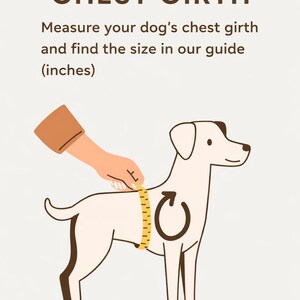 Dog Tuxedo, Wedding Outfit, Ring Bearer Costume image 6