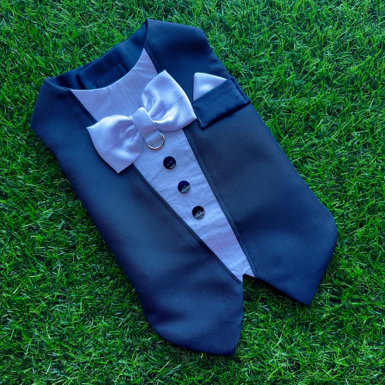 May include: A blue tuxedo-style dog vest with a white bow tie and black buttons. The vest is lying on a green grassy surface.