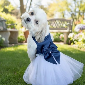 Fancy Dog Dress - Etsy