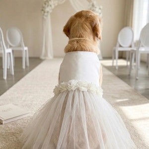 dog wedding dress golden retriever Dog Wedding Dress