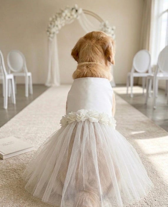 golden retriever dress Floral Dog Wedding Tutu Dress, Personalized Pet Wedding & Birthdays Attire Embellishment_Feather Trim