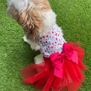 Hunde Hochzeitskleid - Weißes Baumwoll- und Tüll-Tutu-Outfit für kleine, mittelgroße und große Hunde | Kundenspezifisches Braut-, Blumenhund- und Geburtstagskleid