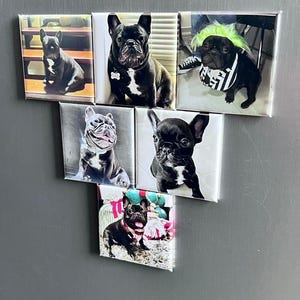 Personalized Picture Magnets - Custom Photo Fridge Magnets with Your Images, Custom magnet, photo magnet, custom fridge magnet