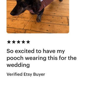 Dog Tuxedo, Wedding Outfit, Ring Bearer Costume image 10