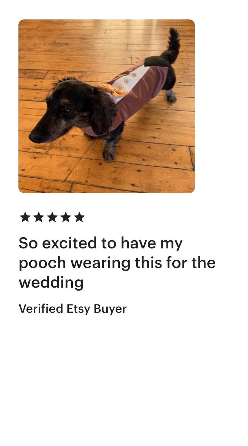 Dog Tuxedo, Wedding Outfit, Ring Bearer Costume image 10