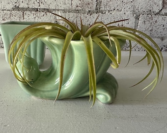 May include: A pair of vintage green ceramic planters, one shaped like a wave and the other a rectangular shape. The wave planter has a plant growing out of it.