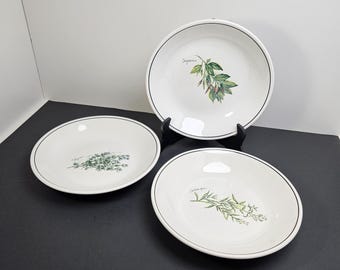 Vintage Williams-Sonoma Pasta Bowls, Fresh Herbs Garden Design Set of 3 - 9"