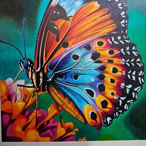 Butterfly - drawing