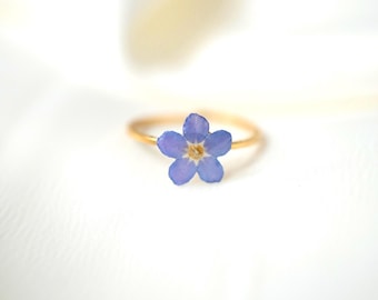 Anello regolabile in acciaio con vero fiore di Non ti scordar di me Myosotis blu