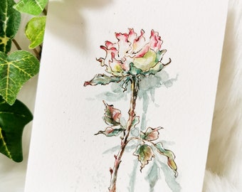 Original watercolor painting A Rose