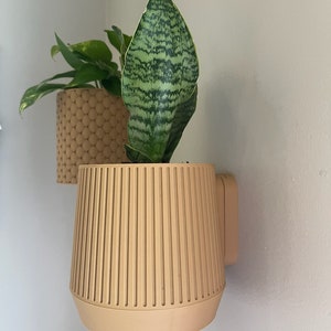 Wall Mounted Planter Featuring Hidden Drip Tray - Lined Print