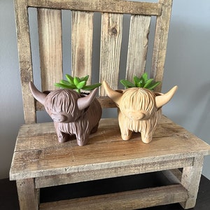 May include: Two brown and tan ceramic highland cow planters with green succulents on a rustic wooden bench.