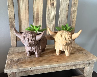 Highland Cow Air Plant Holder