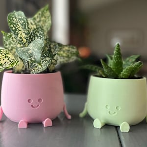 Happy Face Planter