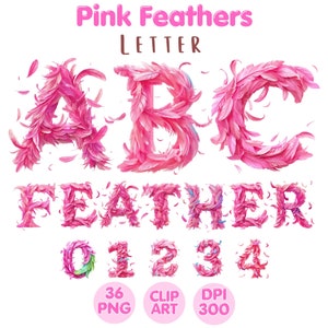 Rosa Federn Buchstabe, Zahl Clipart, Federn Alphabet PNG, Federn Buchstaben, ClipartFont, Aquarell Clipart Sublimation, kommerzielle Nutzung