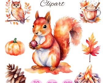 Watercolor Fall Clipart: Autumn PNG Graphics, Commercial Use