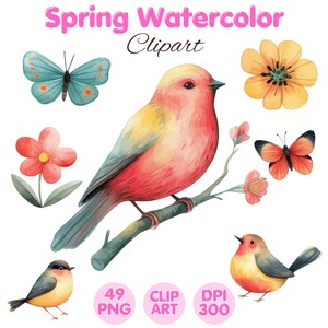 Spring Watercolor Clipart: Floral Bird Butterfly PNG (Commercial Use)