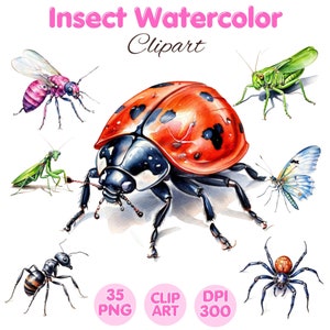 Insect Watercolor Clipart, Insect Clipart, Cute Insects, Insect Graphics, Digital Download, Watercolor Clipart Sublimation, Commercial Use
