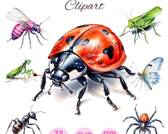Watercolor Insect Clipart, Bug Graphics (Digital Download)