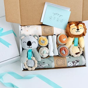 Personalized Twins Gift Box: Plush Stuffed Animals, Baby Blankets, Baby Onesies® & More