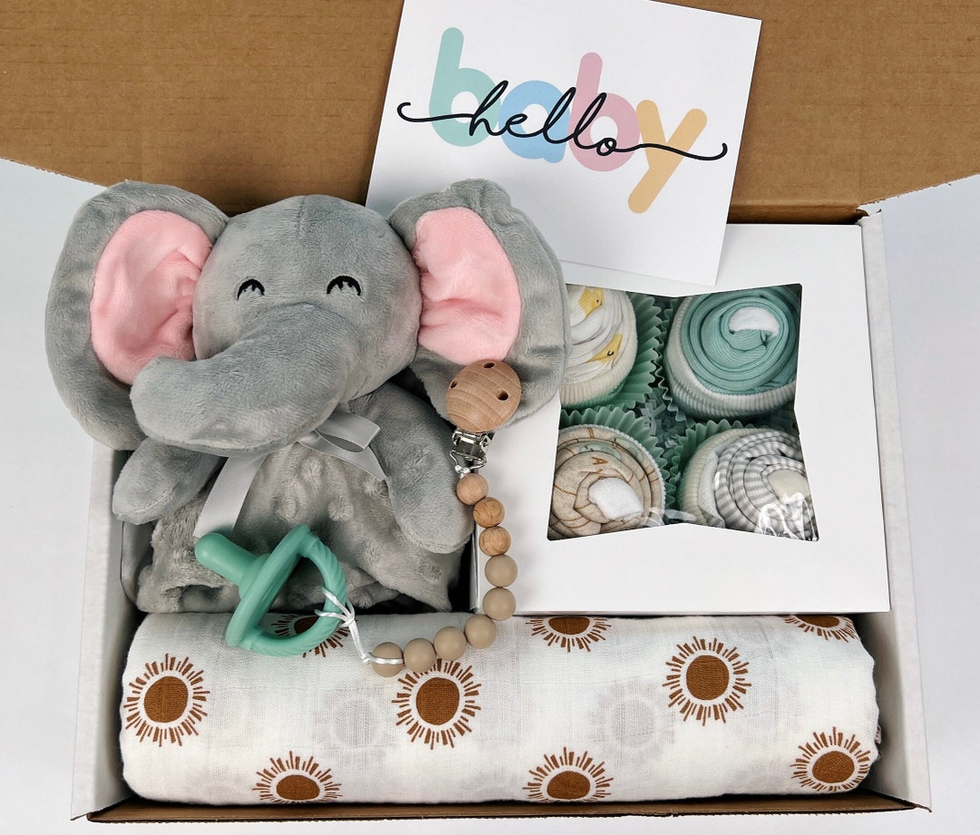 Elephant Embroidered Baby Velvet Hooded Two-Piece Set